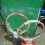 Ring basket 1
